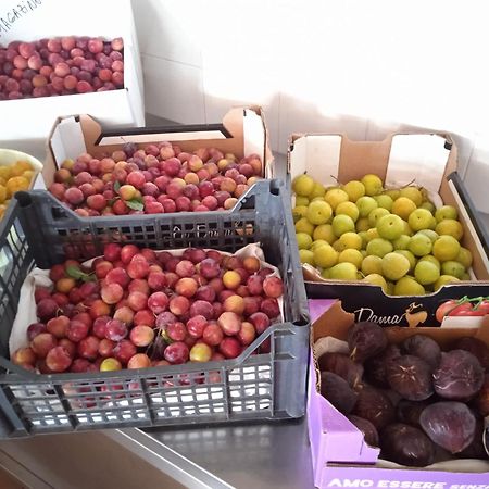 Locanda Dell'Amicizia 세켈로 외부 사진