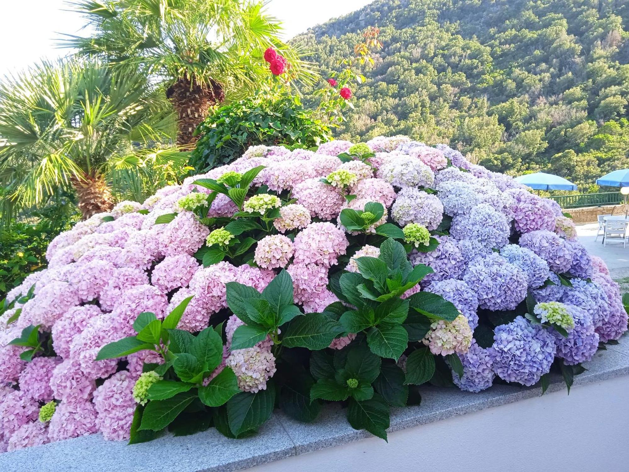 Locanda Dell'Amicizia 세켈로 외부 사진